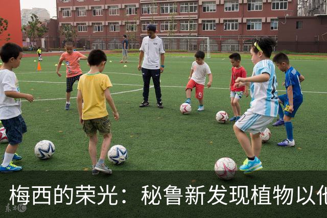 梅西的荣光：秘鲁新发现植物以他名字命名